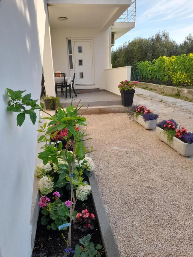 Apartmani Sara Bibinje Zewnętrze zdjęcie