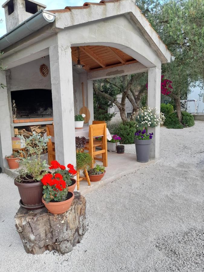 Apartmani Sara Bibinje Zewnętrze zdjęcie