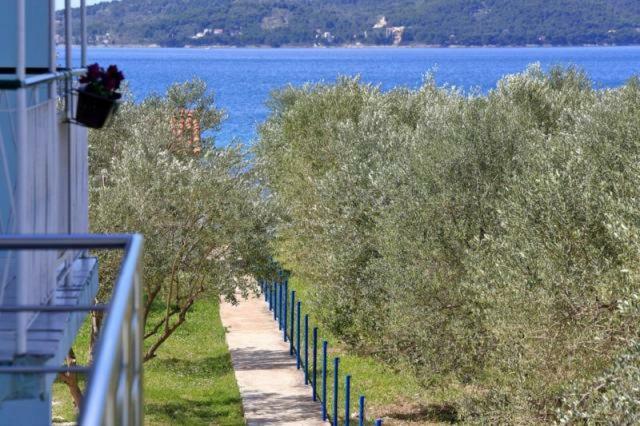 Apartmani Sara Bibinje Zewnętrze zdjęcie